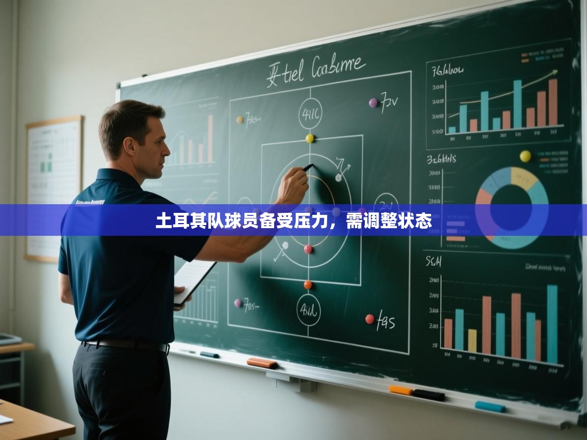 详细阅读:土耳其队球员备受压力,需调整状态 土耳其队球员备受压力,需调整状态